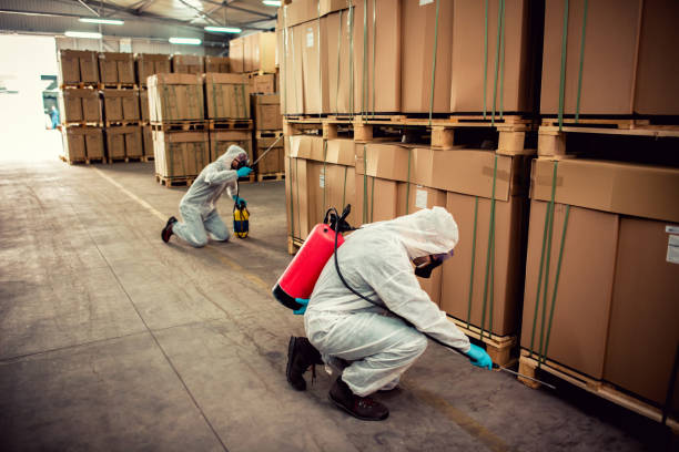 Best Pest Removal Services  in Wrightsville, GA