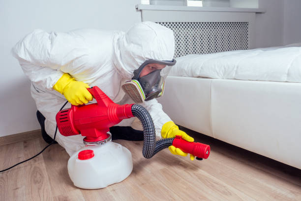 Best Termite Control Services  in Wrightsville, GA