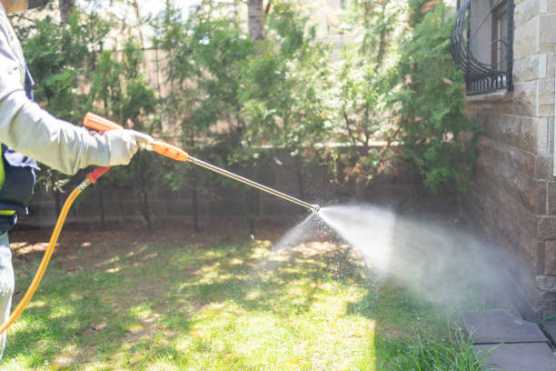 Best Bird Control  in Wrightsville, GA