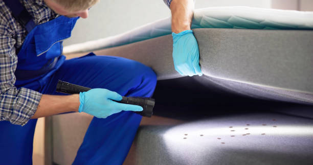 Best Local Pest Control Services  in Wrightsville, GA
