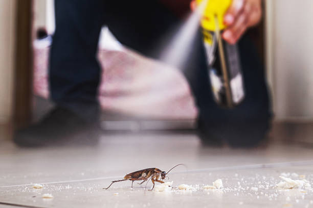 Best Commercial Pest Control Services  in Wrightsville, GA